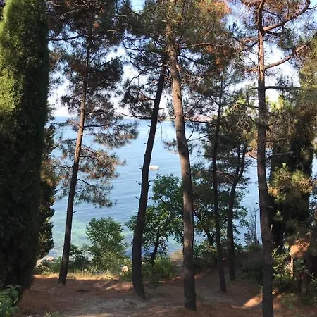 Несебр Болгария Несебр